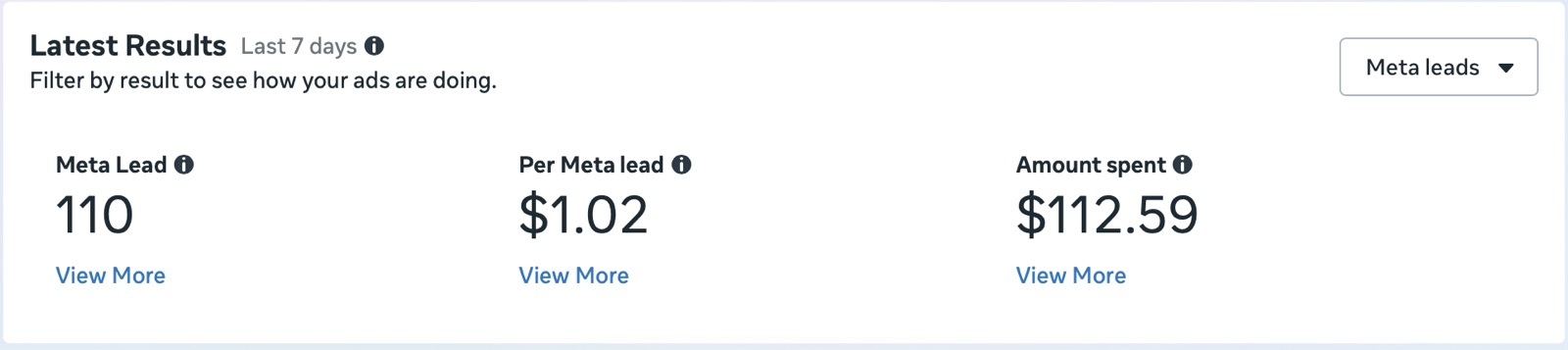 Meta Ads results showing 110 leads at $1.02 each in 7 days