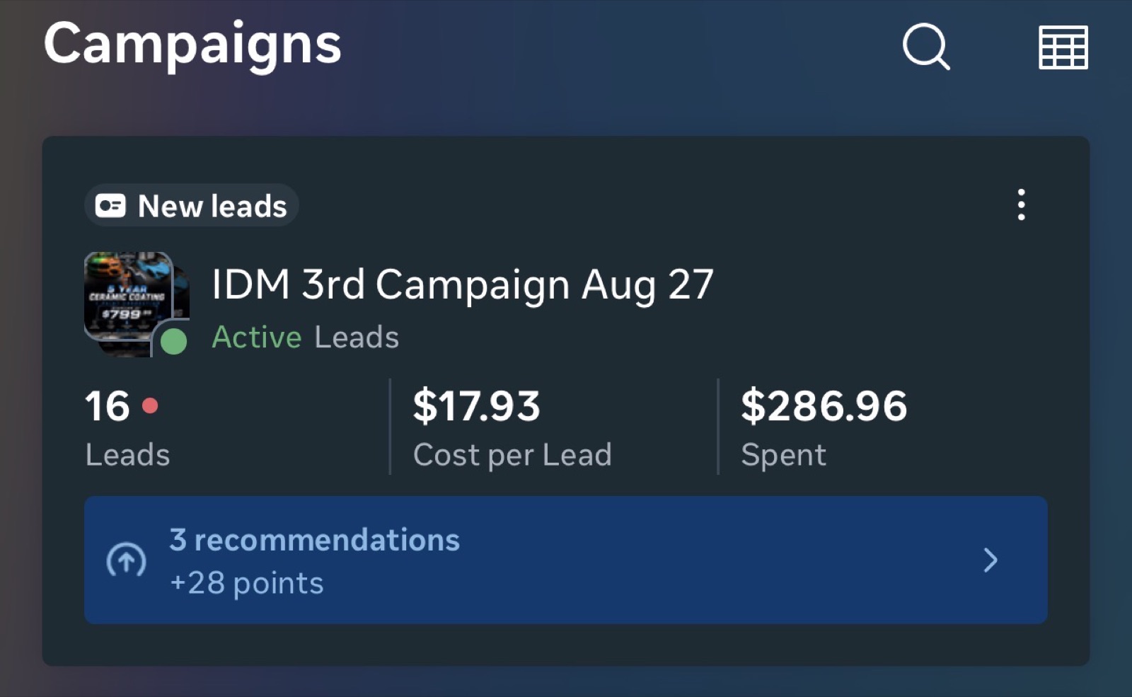 Mandzic Detailing Meta lead campaign with 16 leads