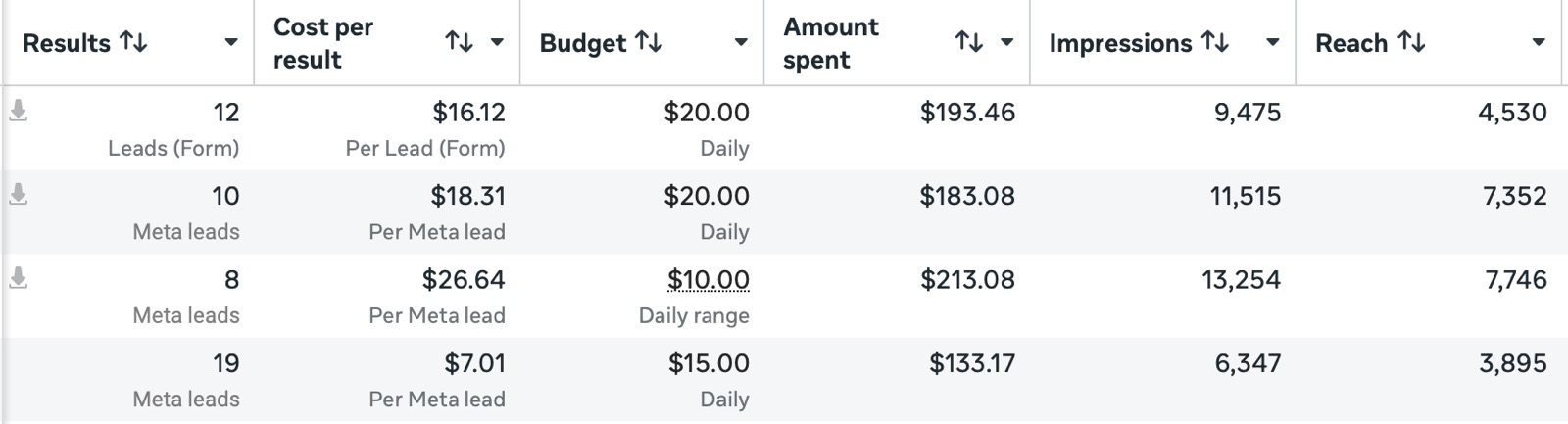 Mandzic Detailing Meta Ads Manager lead campaign results