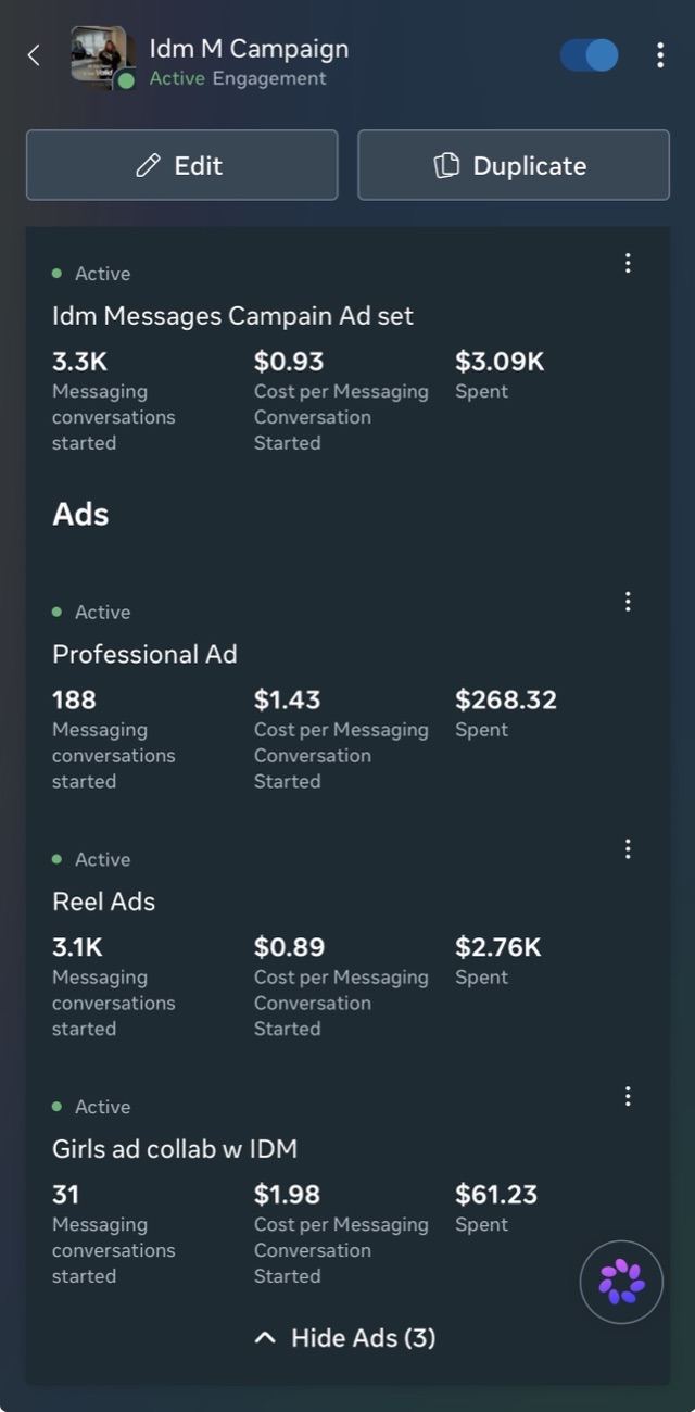 Meta ad set breakdown showing reel ads at $0.89 per conversation